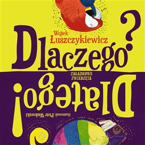 Dlaczego? Dlatego!