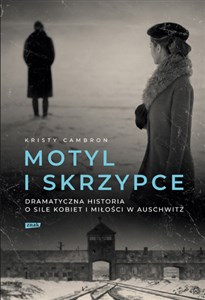 Motyl i skrzypce