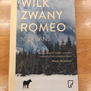 Wilk zwany Romeo. Antykwariat